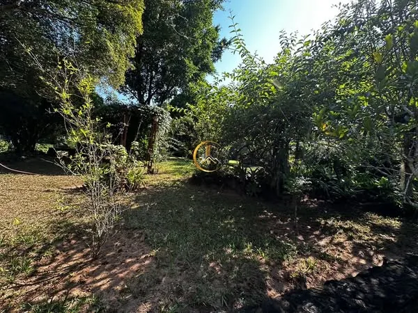 Pomar e plantas da chácara à venda em Itapé, Corumbataí