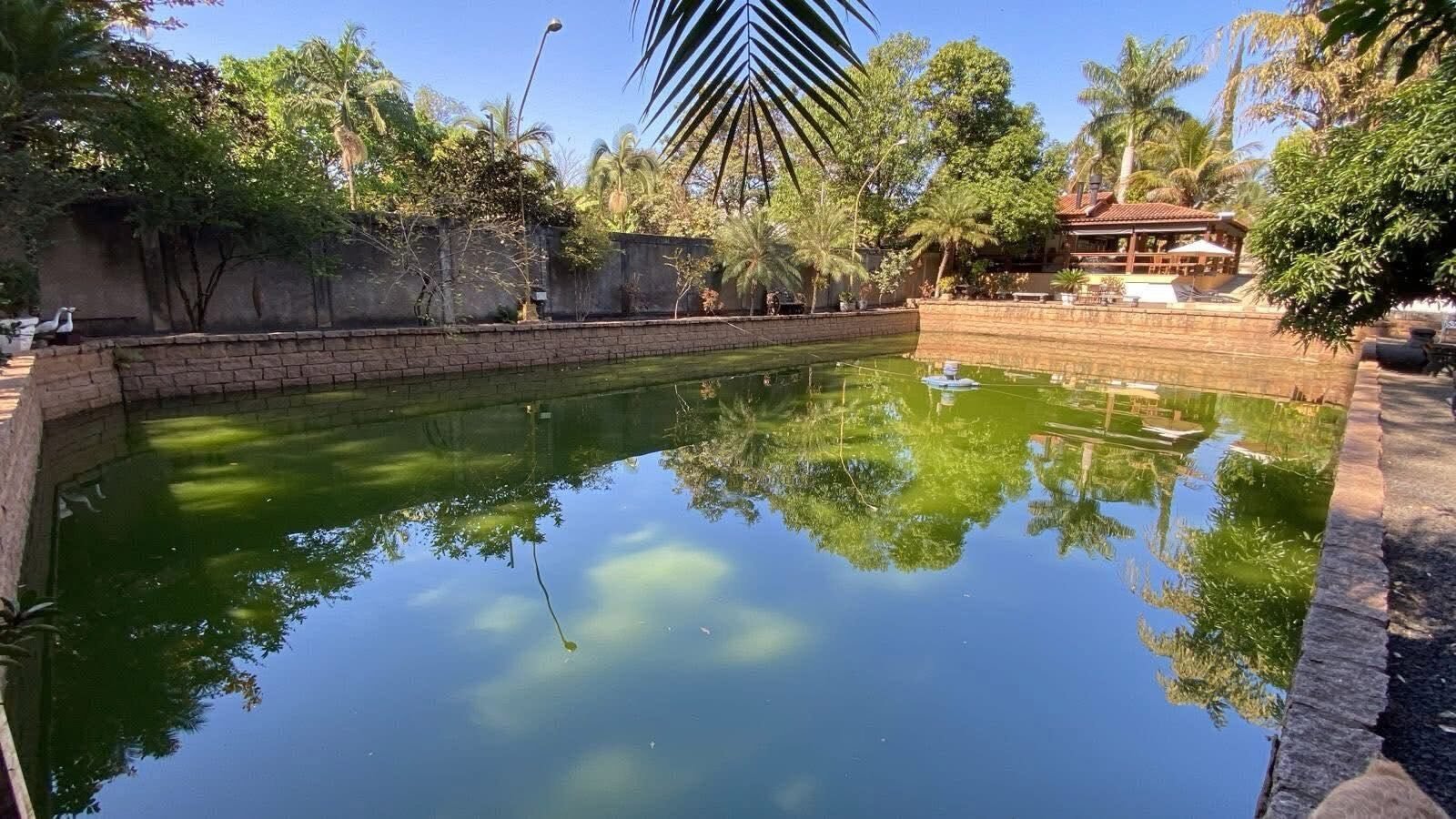 Lago ornamental com peixes da chácara em Santa Gertrudes