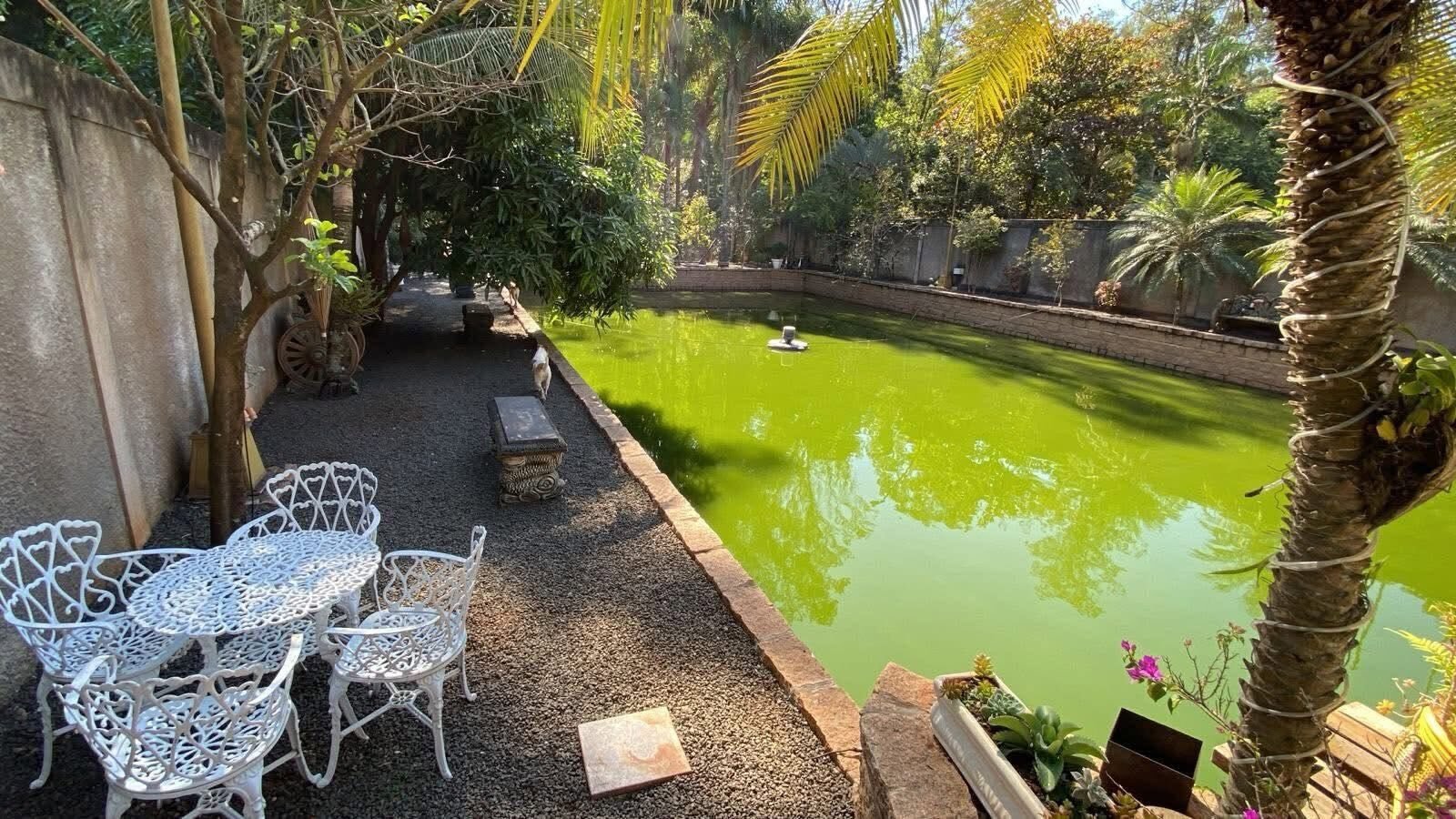 Lago e paisagismo da chácara à venda em Santa Gertrudes