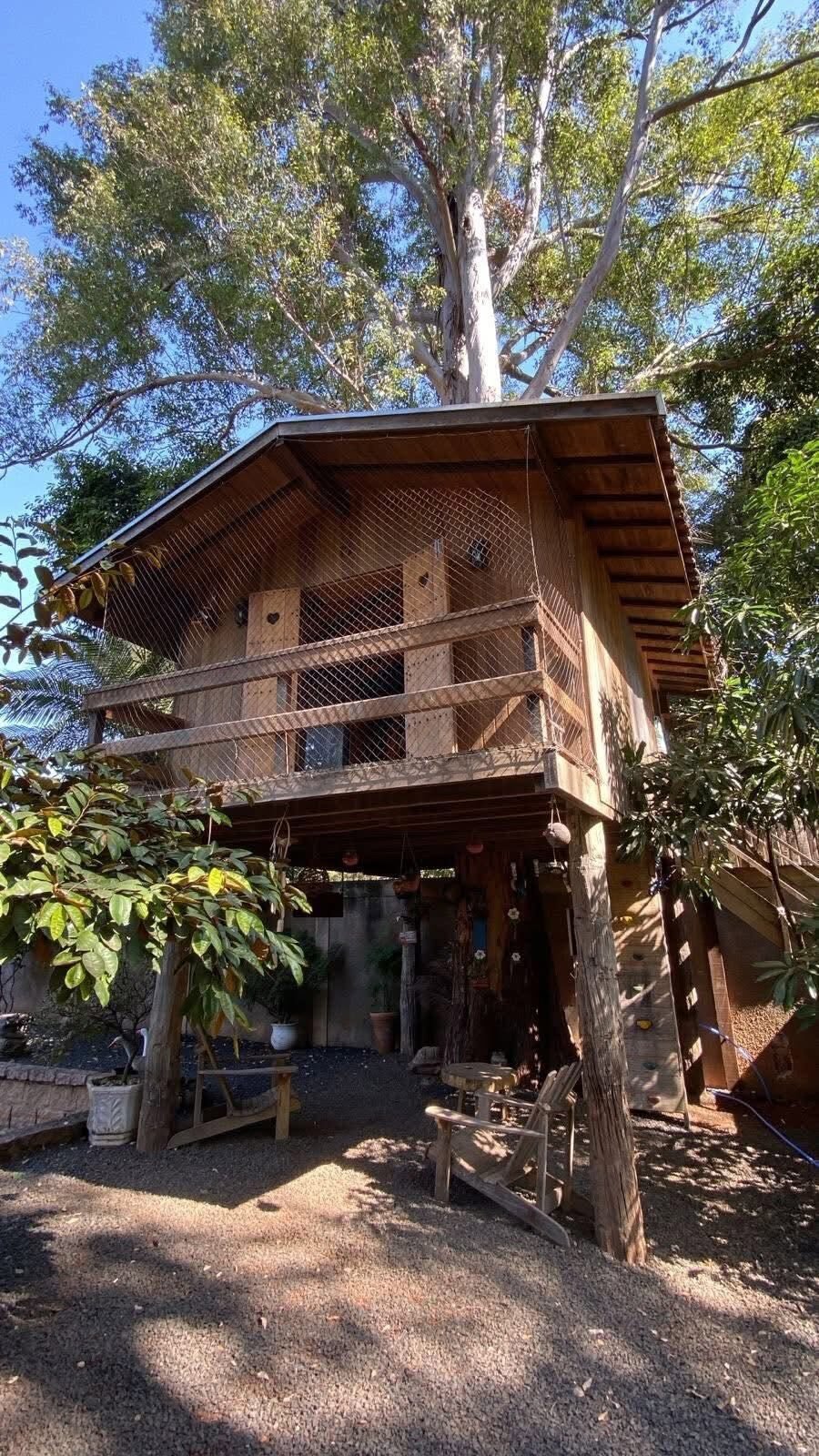 Casa na árvore da chácara à venda em Santa Gertrudes
