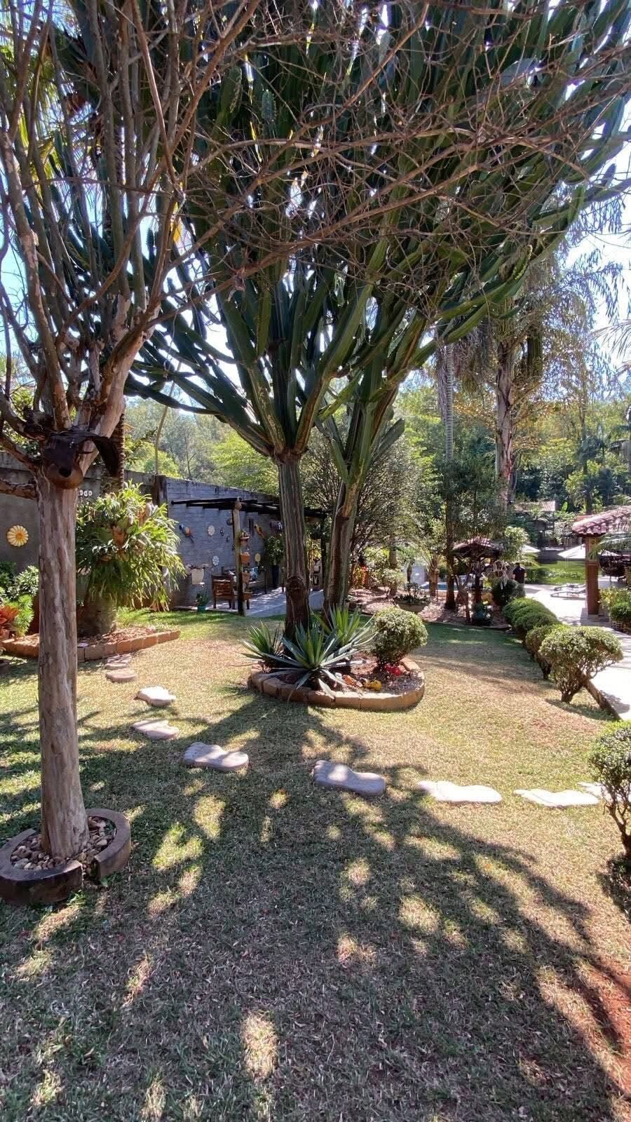 Pomar com mais de 70 árvores frutíferas em Santa Gertrudes
