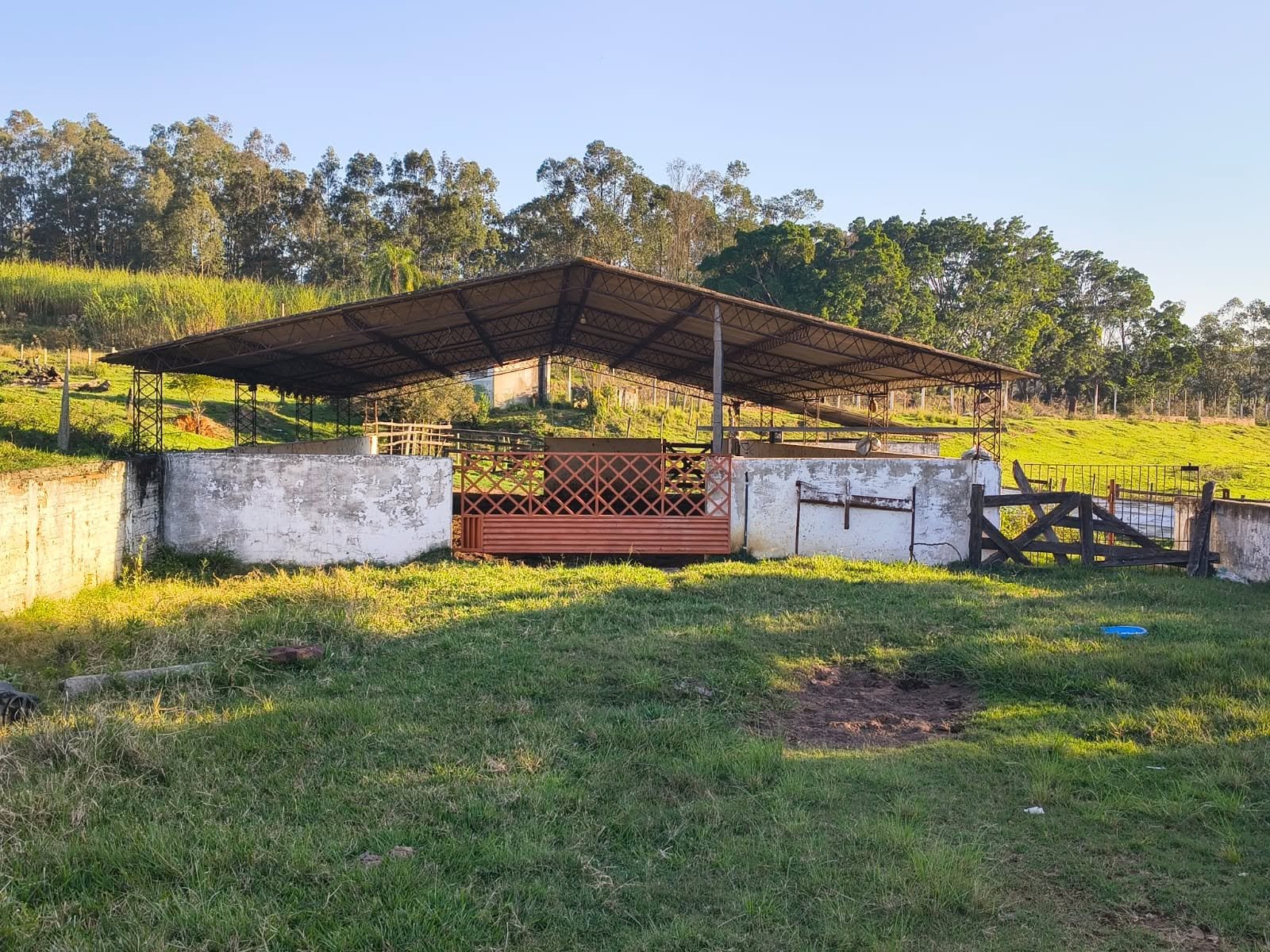 Estrutura pecuária e confinamento do sítio