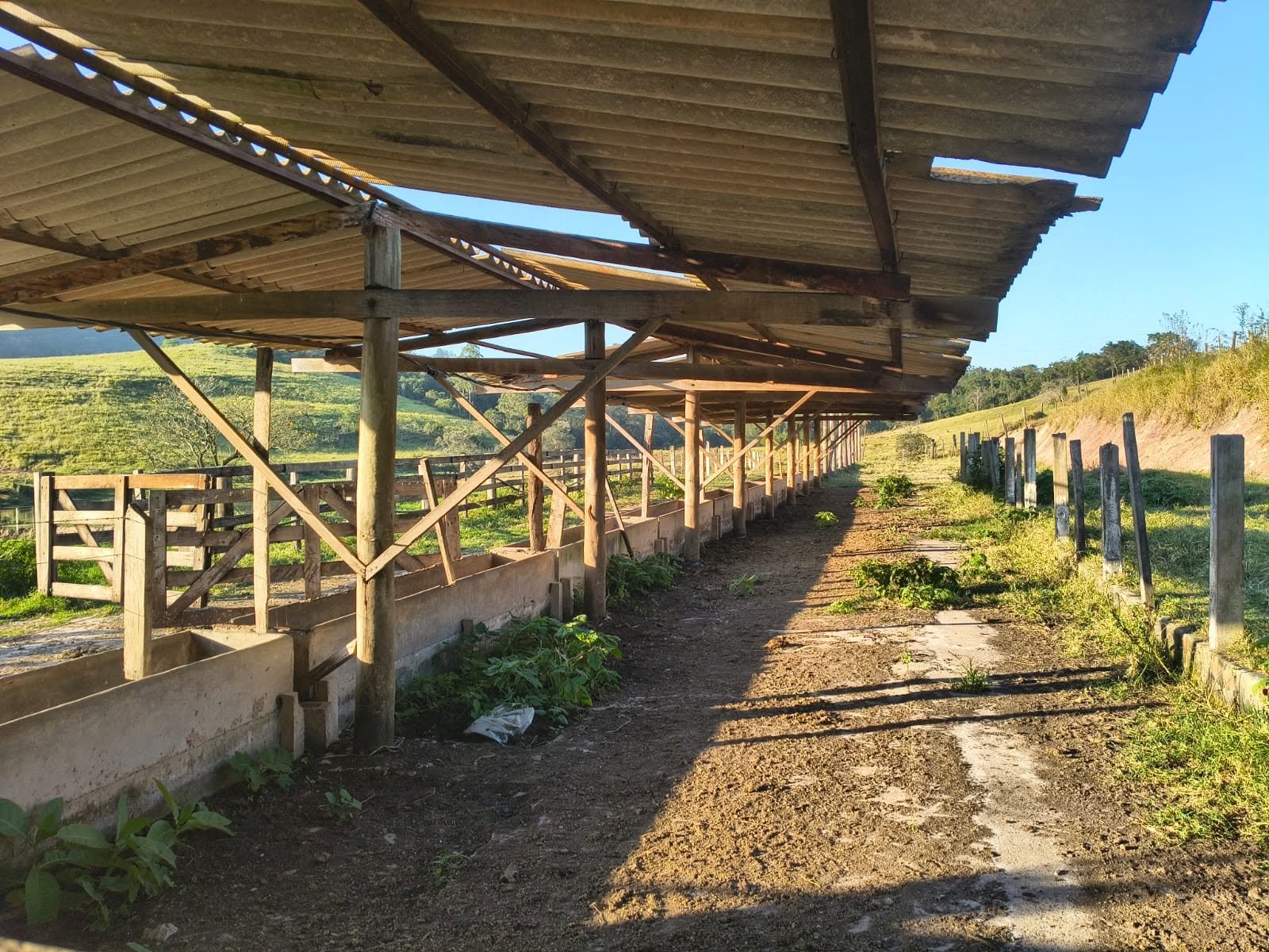 Mangueiro de leite do sítio à venda em Corumbataí