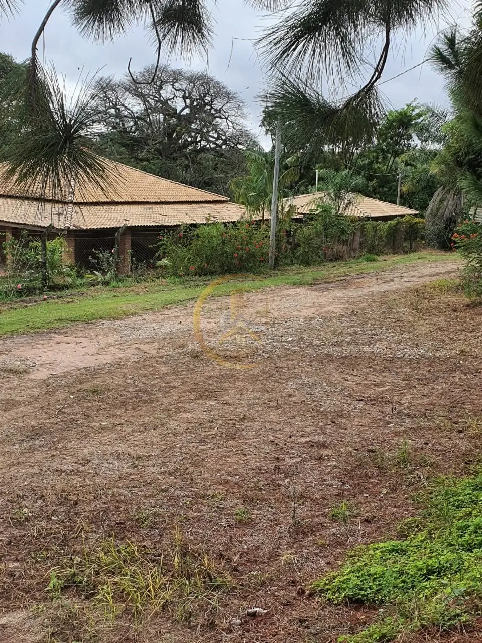 Quiosque e acesso interno arborizado do sítio à venda em Torrinha/SP