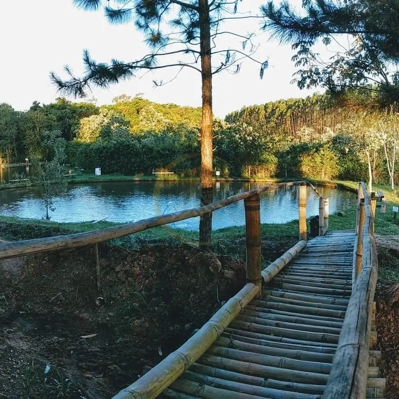 Passarela de madeira junto ao tanque de peixes do sítio à venda em Torrinha/SP