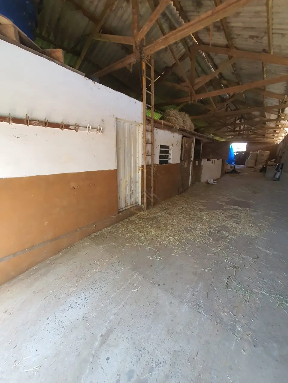 Corredor coberto das baias do sítio à venda em Torrinha/SP