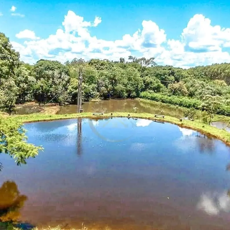 Tanque de peixes e paisagem rural do sítio à venda em Torrinha/SP