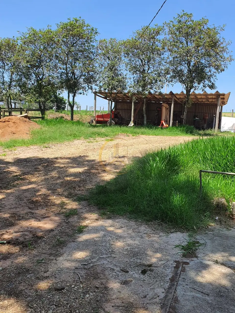 Área aberta com árvores e construção coberta do sítio à venda em Torrinha/SP