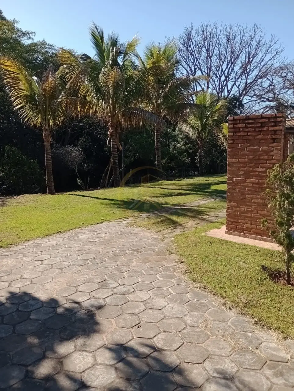 Caminho pavimentado e jardim com palmeiras do sítio à venda em Torrinha/SP