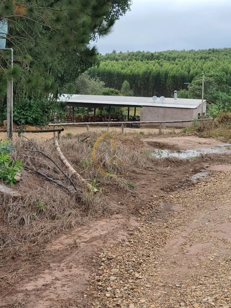 Construção rural e área de terra cercada do sítio à venda em Torrinha/SP