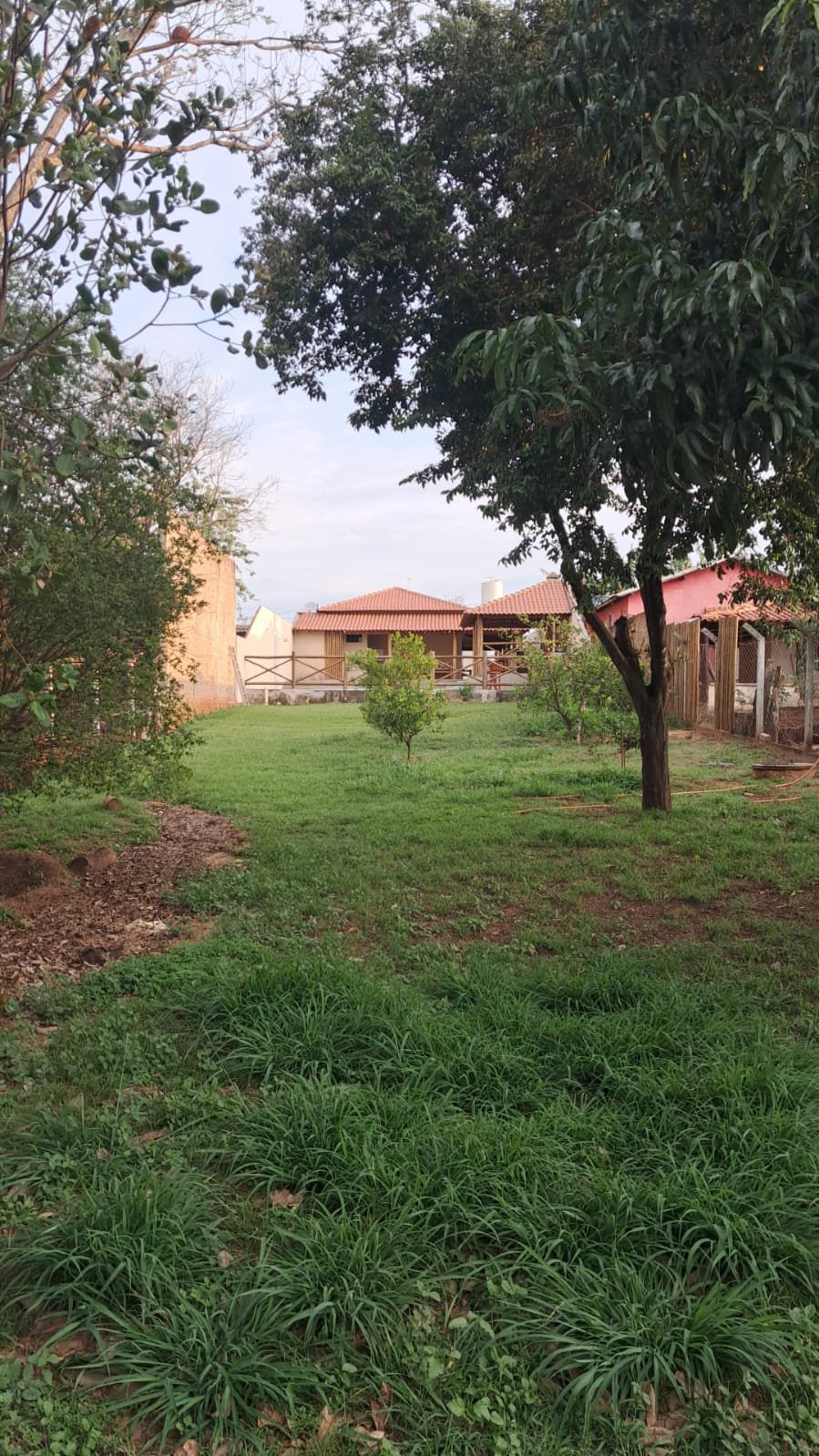 Foto 10 da chácara à venda em Tabapuã/SP