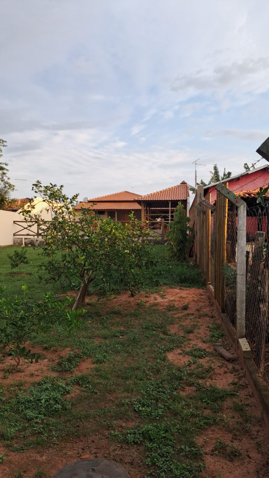 Foto 12 da chácara à venda em Tabapuã/SP