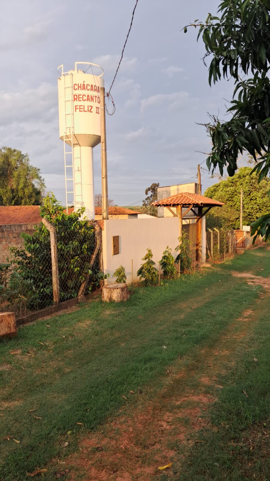 Foto 33 da chácara à venda em Tabapuã/SP
