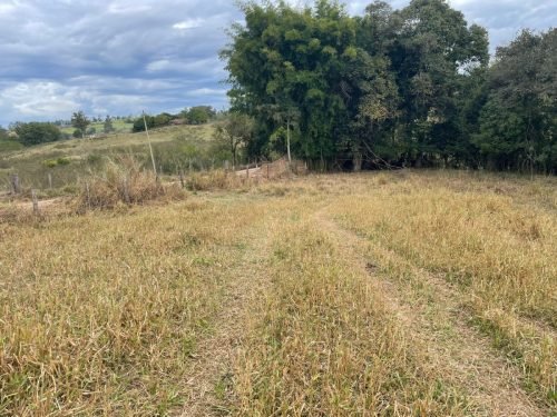 Área rural com pastagem em Rio Claro/SP