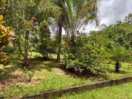 Vista do terreno da chácara à venda em Itirapina SP