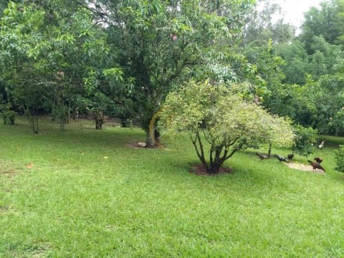 Ampla área verde da chácara no Residencial Planalto Serra Verde