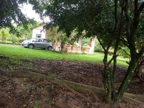 Árvores frutíferas produzindo na chácara à venda em Itirapina SP