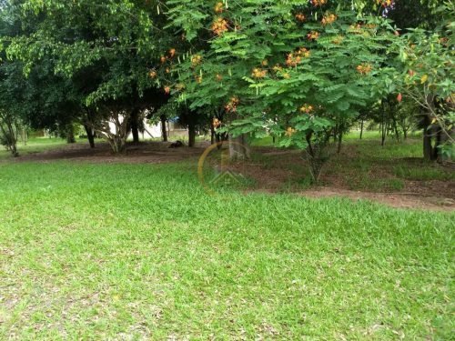 Paisagismo e árvores frutíferas da chácara em Itirapina SP