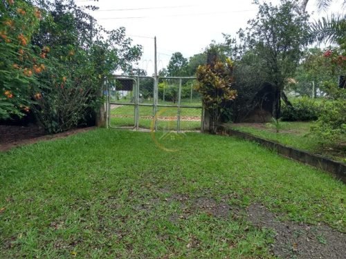 Pomar da chácara com árvores produzindo em Itirapina SP