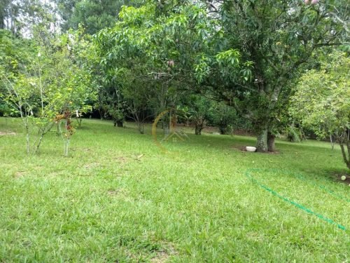 Área verde da chácara com amplo espaço gramado em Itirapina SP