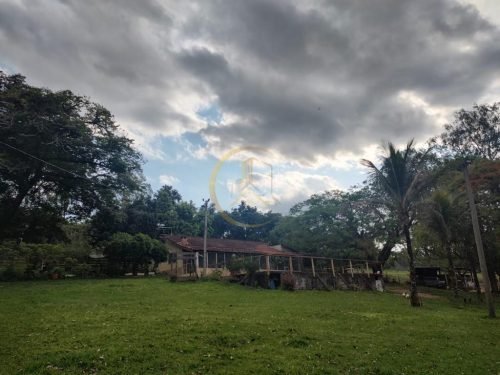 Paisagem rural da propriedade em Corumbataí SP