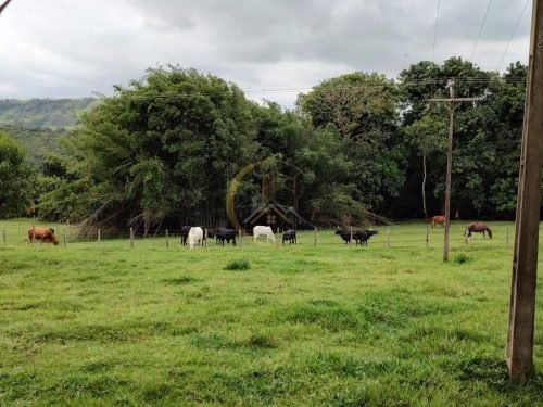 Área de pastagem do sítio em Corumbataí SP