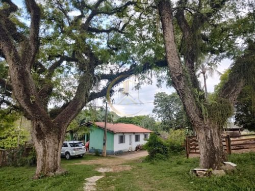 Casa principal entre árvores no sítio em Corumbataí SP