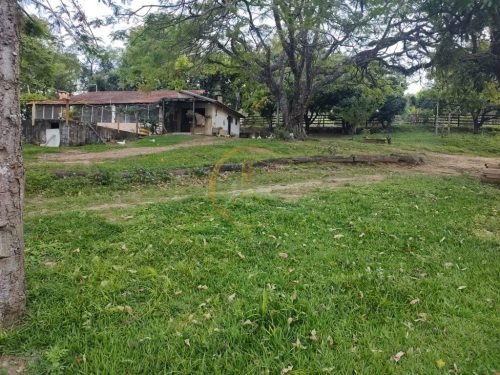 Gramado e benfeitorias do sítio em Corumbataí SP