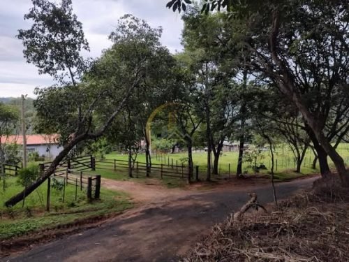Bosque e área arborizada da propriedade em Corumbataí SP