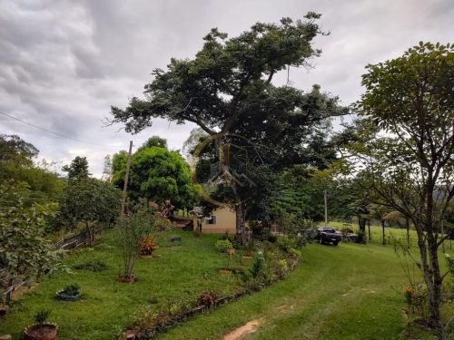 Pomar e área verde do sítio em Corumbataí SP