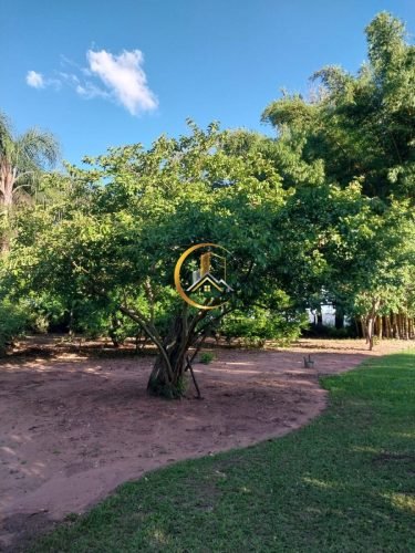 Pomar com árvores frutíferas na chácara à venda em Itirapina/SP