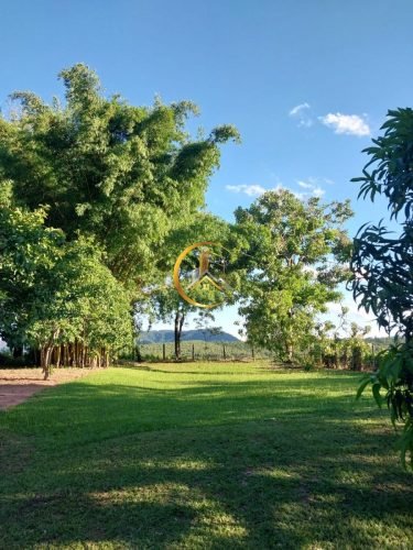 Vista do gramado da chácara à venda em Itirapina/SP