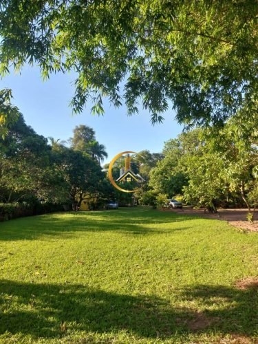 Área verde com gramado da chácara à venda em Itirapina/SP
