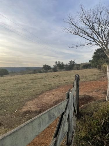 Sítio à venda em Rio Claro/SP - Entrada principal da propriedade com porteira