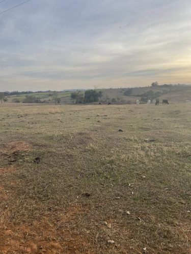 Sítio à venda em Rio Claro/SP - Vista ampla da área de pastagem