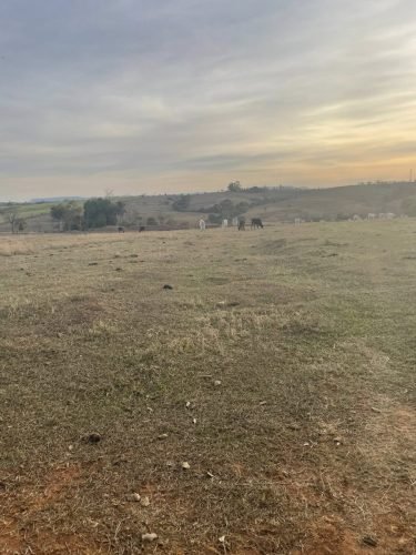 Sítio à venda em Rio Claro/SP - Campo aberto ideal para pecuária