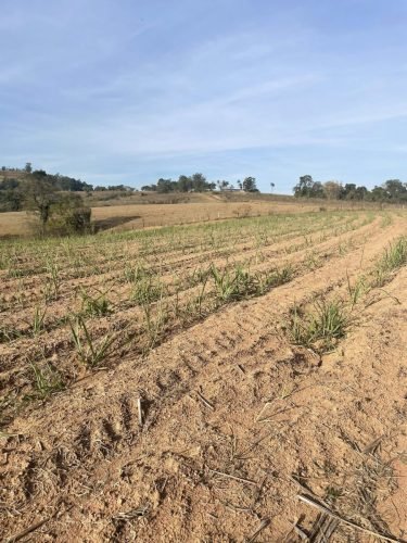 Vista da propriedade rural localizada em Rio Claro SP.