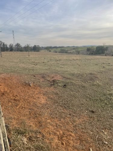 Sítio à venda em Rio Claro/SP - Área produtiva formada em pasto