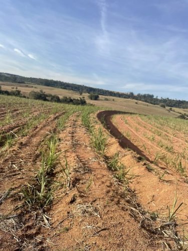 Imóvel rural para investimento em Rio Claro São Paulo.