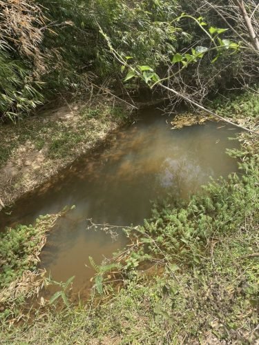 Detalhe do córrego existente dentro da propriedade, um dos grandes diferenciais deste sítio à venda em Rio Claro/SP, garantindo abundância de água e valorização natural do imóvel.