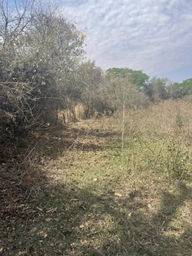 Área preservada da propriedade com vegetação nativa, proporcionando ambiente agradável, contato com a natureza e excelente qualidade de vida.