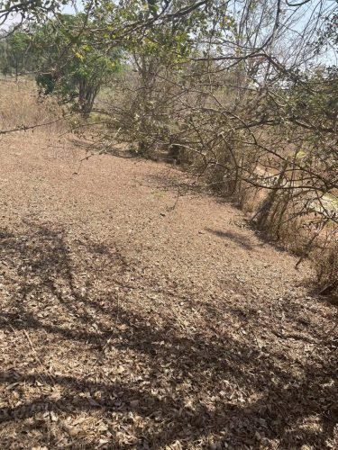 Vista parcial do terreno do sítio localizado em Rio Claro/SP, região da Jacutinga, evidenciando o amplo espaço disponível para diversas finalidades rurais.