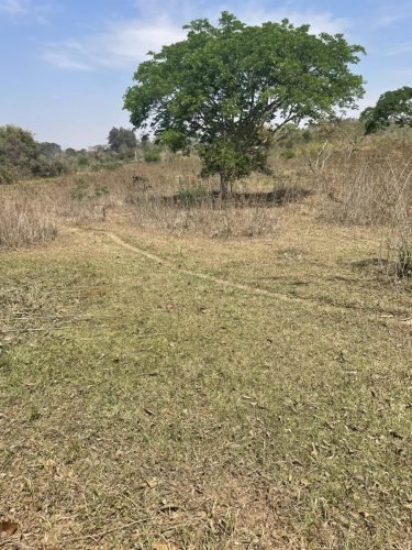 Vista panorâmica da propriedade rural localizada em Rio Claro/SP, destacando o terreno plano, fácil aproveitamento e excelente potencial de valorização.
