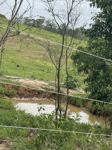 Nascente na propriedade rural em Ajapi Rio Claro SP