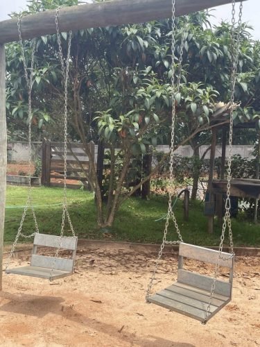 Jardim arborizado da chácara à venda em Rio Claro/SP