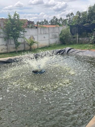 Lago para pesca da chácara à venda em Rio Claro/SP