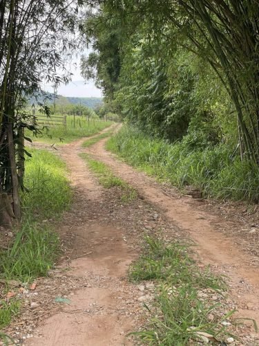 Acesso interno da propriedade rural em Ajapi Rio Claro S