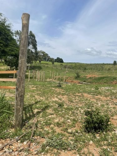 Pastagem da propriedade rural em Ajapi Rio Claro SP