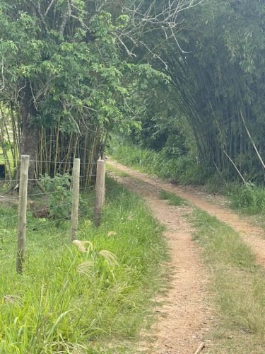 Estrada de acesso ao confinamento rural em Ajapi Rio Claro SP