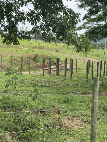 Piquetes do confinamento rural em Ajapi Rio Claro SP